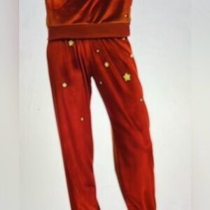 ✨⭐️🔥Aviator Nation Rare Res Velvet Galaxy Celestial joggers size XL